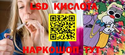 молекула духа Новозыбков