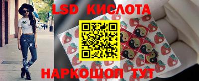 молекула духа Новозыбков