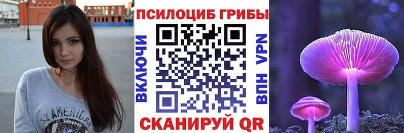 Галлюциногенные грибы Psilocybine cubensis  Черняховск 