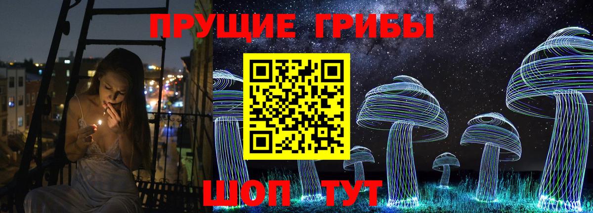 Псилоцибиновые грибы ЛСД Черняховск