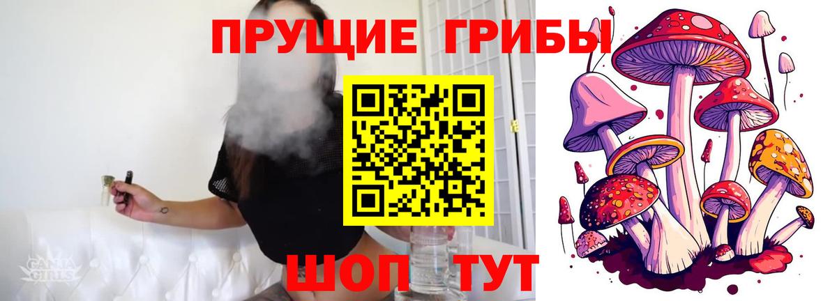 Галлюциногенные грибы Magic Shrooms  Вход с VPN  Галлюциногенные грибы GOLDEN TEACHER  Черняховск 
